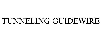 TUNNELING GUIDEWIRE