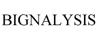 BIGNALYSIS