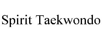 SPIRIT TAEKWONDO