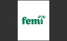 FEMI