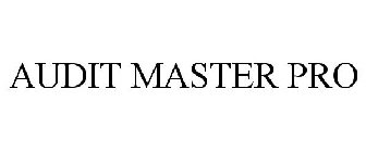 AUDIT MASTER PRO