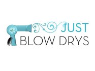 JUST BLOW DRYS