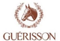 GUÉRISSON