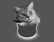 Image Trademark