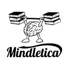 MINDLETICA