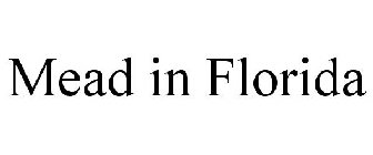 MEAD IN FLORIDA