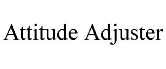 ATTITUDE ADJUSTER