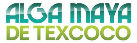 ALGA MAYA DE TEXCOCO