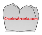 CHARLESARCORIA.COM