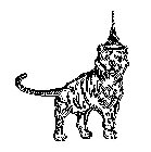 Image Trademark