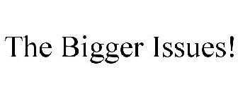 THE BIGGER ISSUES!