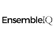 ENSEMBLE IQ