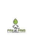 PAW PAW'S SELF SERVE DOG WASH AND BOUTIQUE