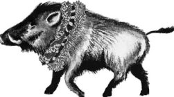 Image Trademark