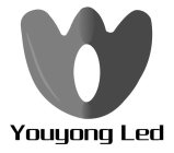 YOUYONG LED