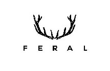 FERAL