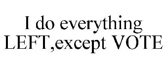 I DO EVERYTHING LEFT,EXCEPT VOTE