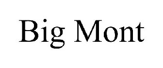 BIG MONT