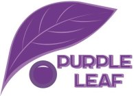 PURPLE LEAF