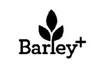 BARLEY +