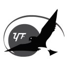 YF