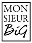 MONSIEUR BIG