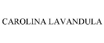 CAROLINA LAVANDULA