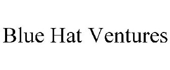 BLUE HAT VENTURES