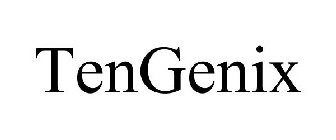 TENGENIX