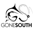 GONESOUTH