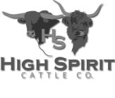 HS HIGH SPIRIT CATTLE CO.