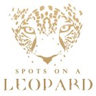 SPOTS ON A LEOPARD