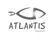 ATLANTIS AQUARIUM