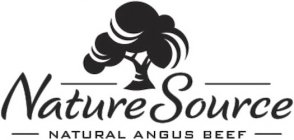 NATURESOURCE NATURAL ANGUS BEEF