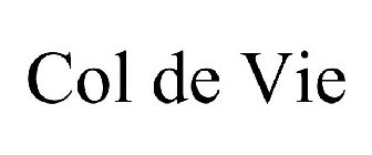 COL DE VIE