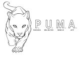 P.U.M.A. PARKING UNLIMITED MOBILE APP