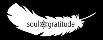 SOUL GRATITUDE