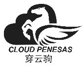 CLOUD PENESAS