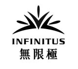 INFINITUS