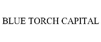 BLUE TORCH CAPITAL