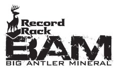 RECORD RACK BAM BIG ANTLER MINERAL