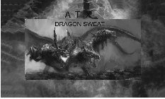 A T X DRAGON SWEAT