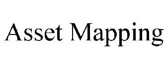 ASSET MAPPING