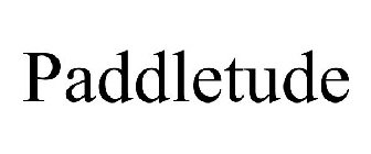 PADDLETUDE