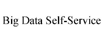 BIG DATA SELF-SERVICE