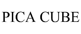 PICA CUBE