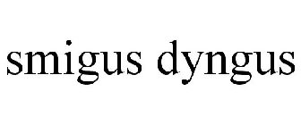 SMIGUS DYNGUS