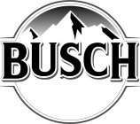 BUSCH