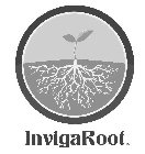 INVIGAROOT