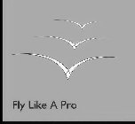 FLY LIKE A PRO